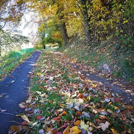 Idyllic Farm With Scenic Views And Concierge By Swisshut