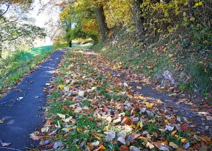 Idyllic Farm With Scenic Views And Concierge By Swisshut